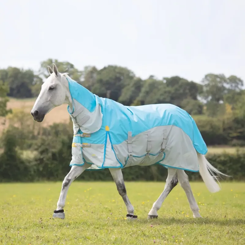 Highlander Plus Waterproof Fly Rug in BLUE