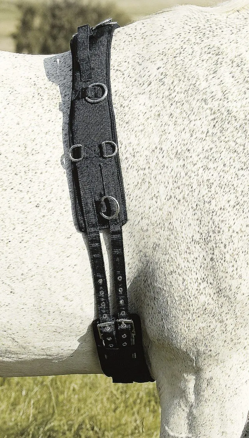 Celtic Equine Breaking Set Nylon Neoprene-1