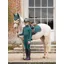 Le Mieux Young Rider Pull On Breech Spruce