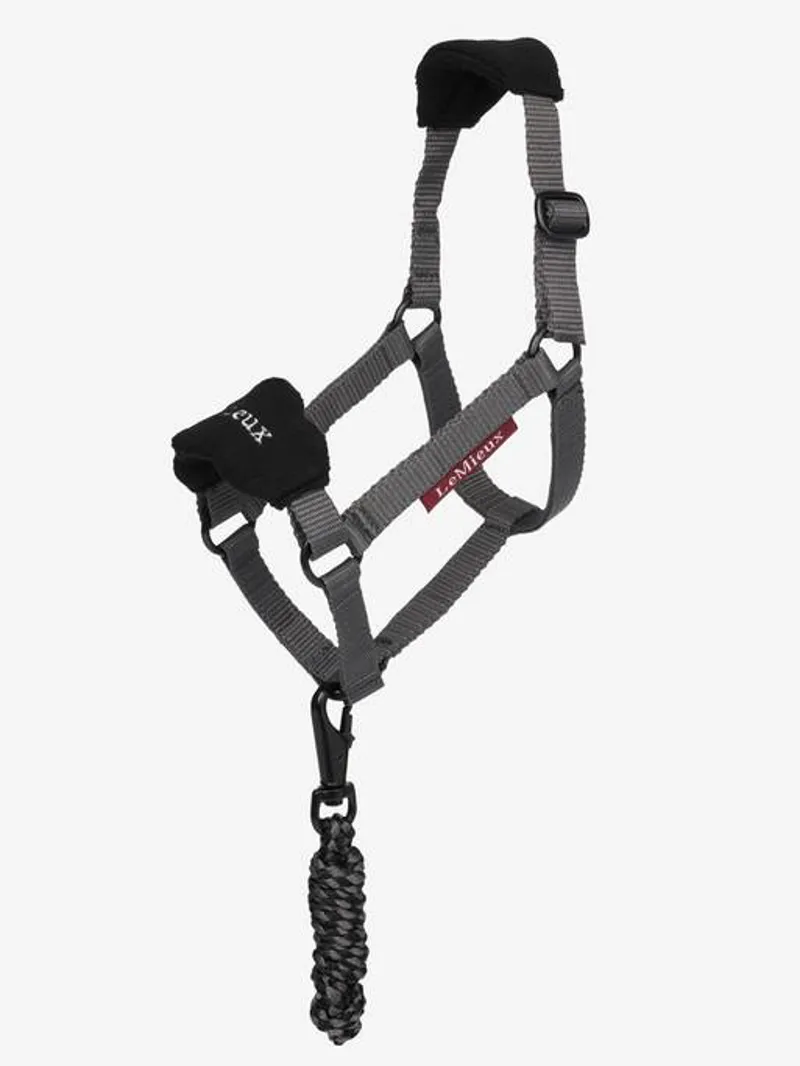 LeMieux Hobby Horse Headcollar Black-2
