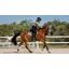 Le Mieux Loire Classic Close Contact Square Fern