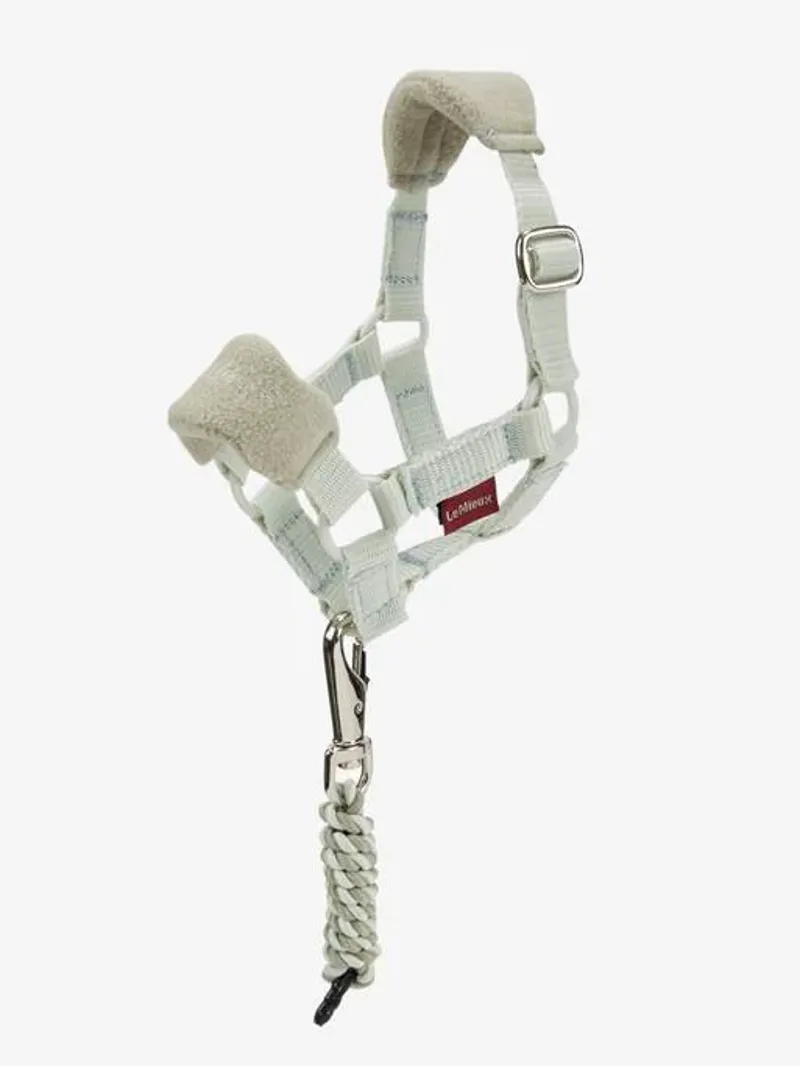 Le Mieux Toy Pony Vogue Headcollar Fern-1