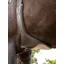 Le Mieux Arika Contoured Long Stud Girth Brown