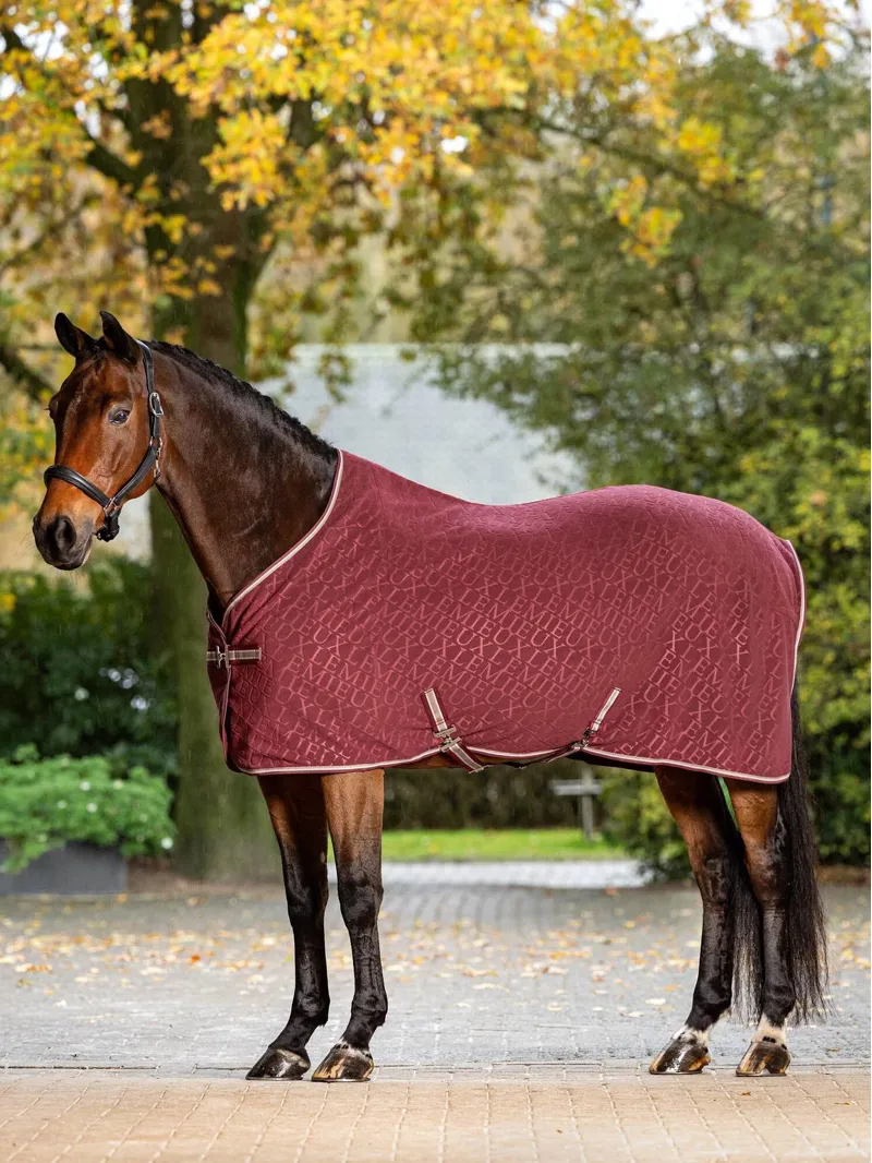 Le Mieux Arika Debossed Fleece Rug Burgundy