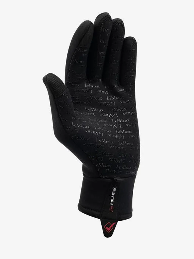 PolarTec Glove Black-1