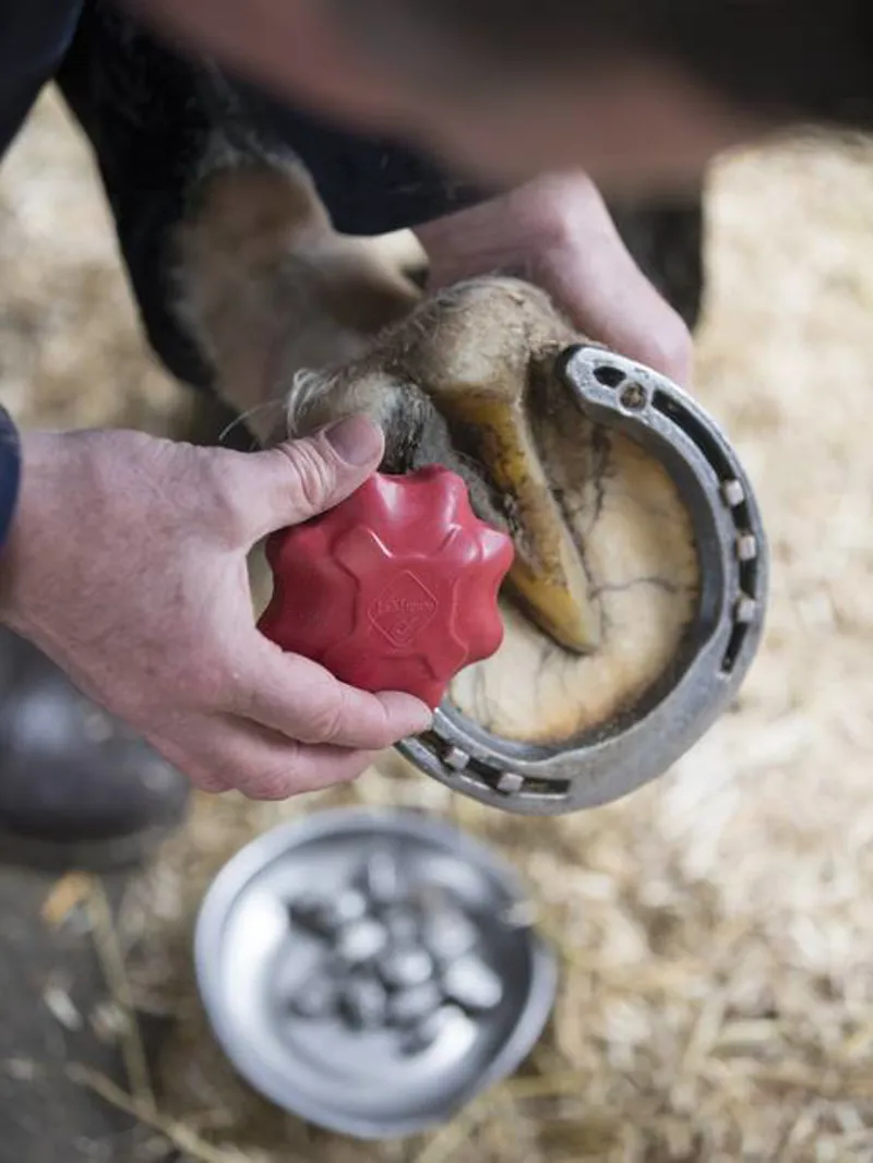 LeMieux Safety Stud Tap Red-1