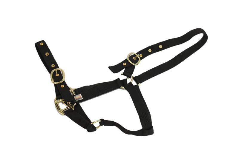 Equi-Sential Nylon Headcollar Foal Black