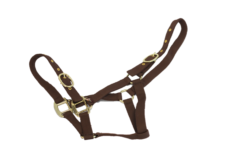 Equi-Sential Nylon Headcollar Foal Brown