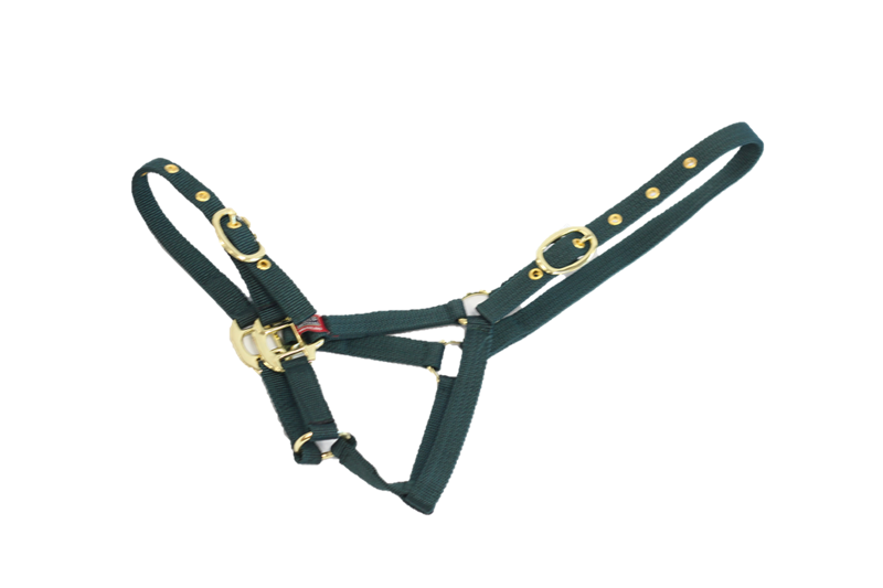 Equisential Nylon Headcollar Foal Green