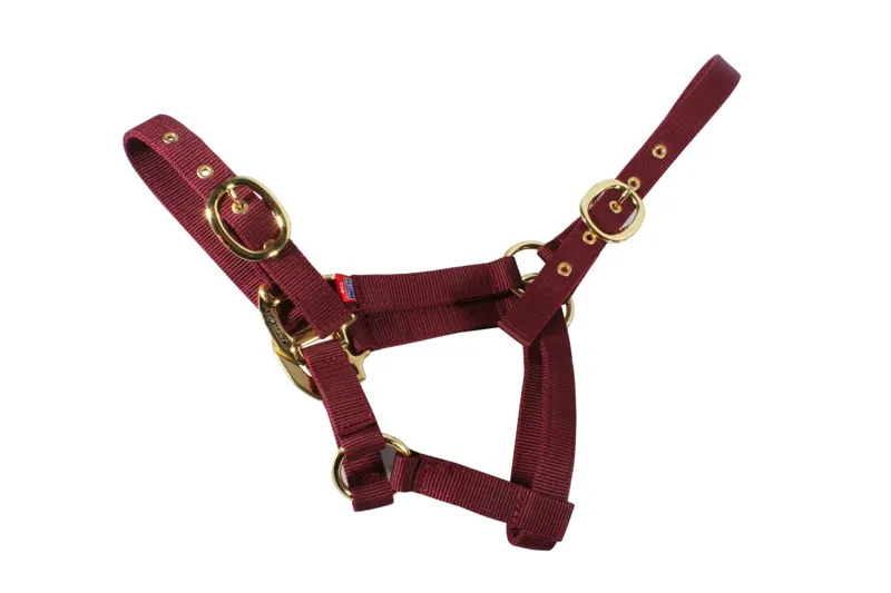 Equi-Sential Nylon Headcollar Foal Burgundy