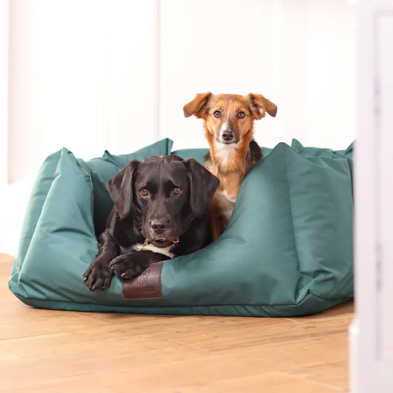 Digby and Fox Nest Dog Bed Green