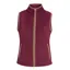 Aubrion Core Fleece Gilet - Gents MAROON