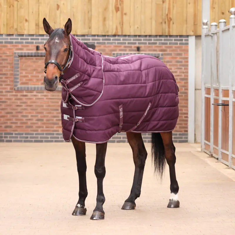 Tempest Original 300 Stable Rug and Neck