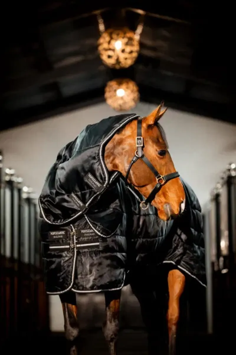 Horseware Easy-Layer Stable Plus 400g Black