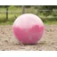 QHP Horse Football Pink 80-100cm