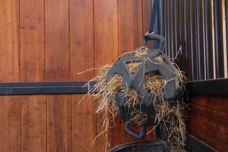 Kentucky Relax Horse Play and Hay Ball Grey