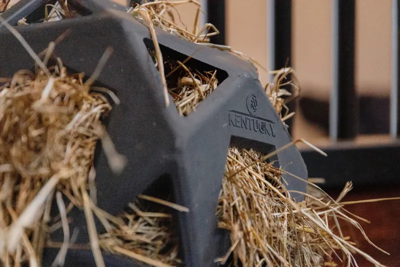 Kentucky Relax Horse Play and Hay Ball Grey-1