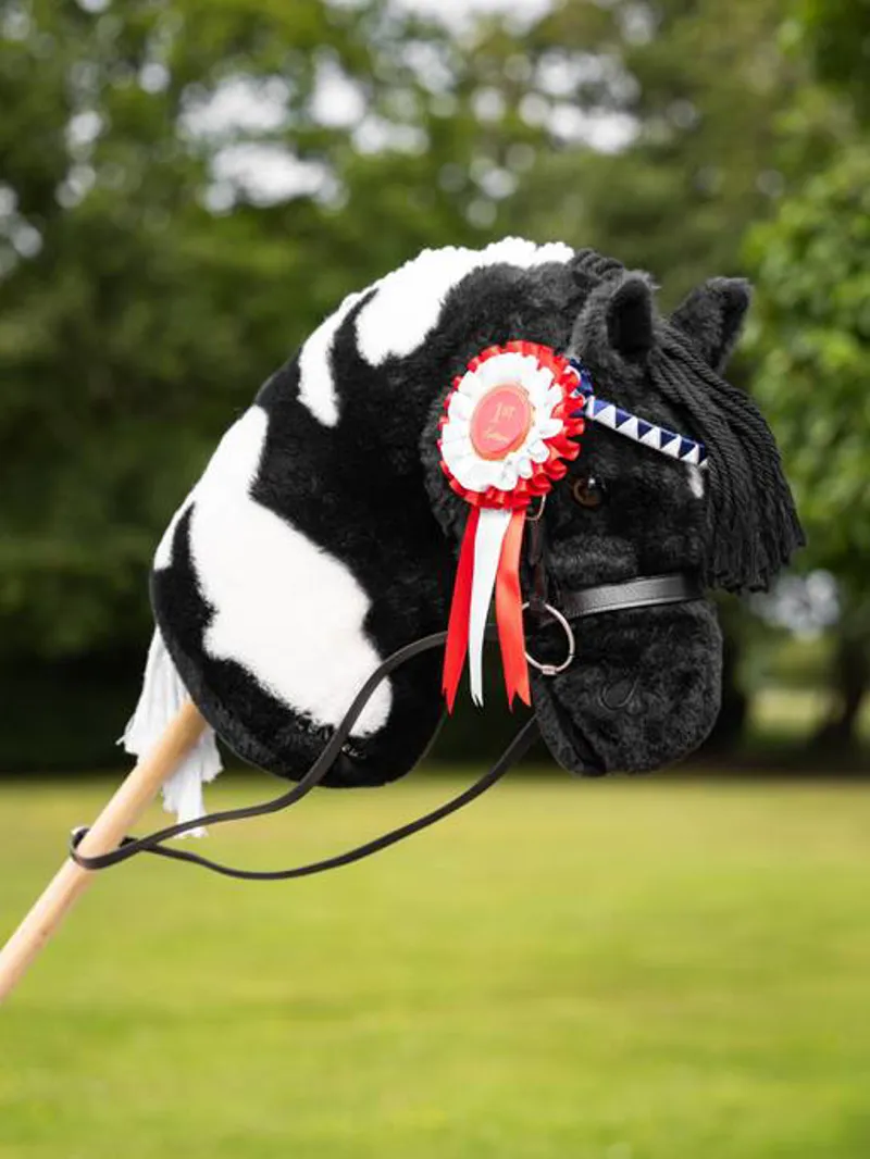 Le Mieux Hobby Horse Rosette Pack Multi-1