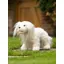Le Mieux Toy Puppy Retriever Luna
