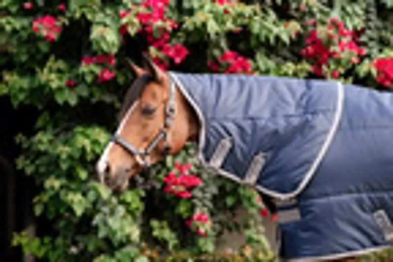 Amigo Ripstop Exercise Sheet Navy-1