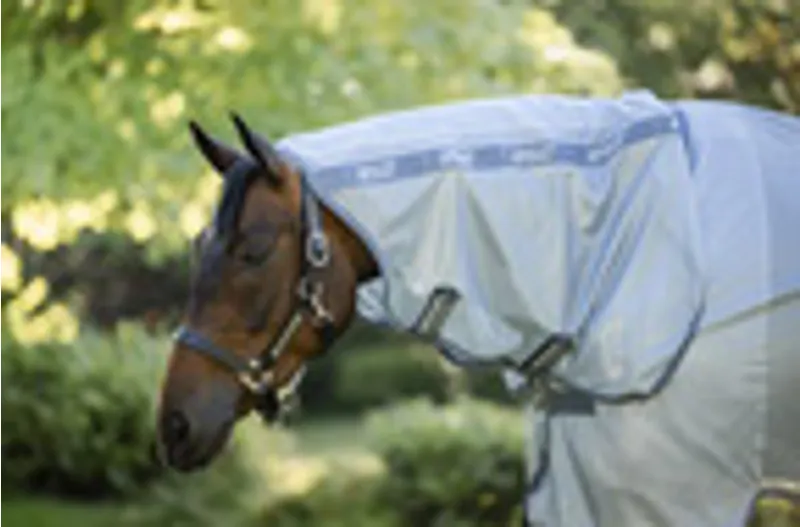 Amigo Integrated Fly Sheet Heather Blue-1