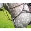 Salisbury Five Point Breastplate in HAVANA