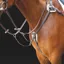 Salisbury Five Point Breastplate in AUSNUT