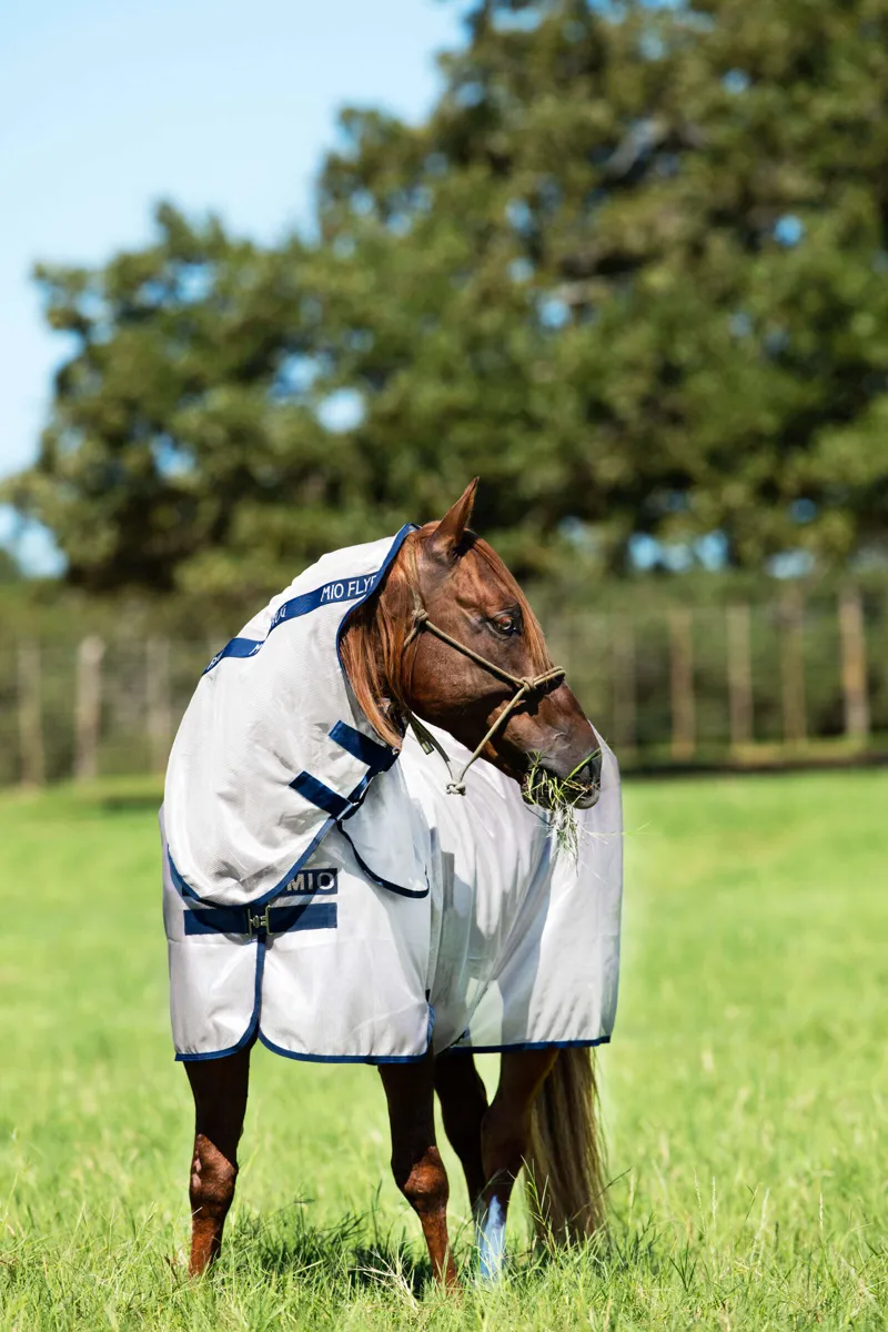 Horseware Mio Fly Rug