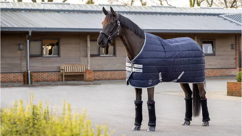 LeMieux Arika StableTek 100g Navy-1