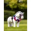 Le Mieux Toy Pony Coco Show Pony
