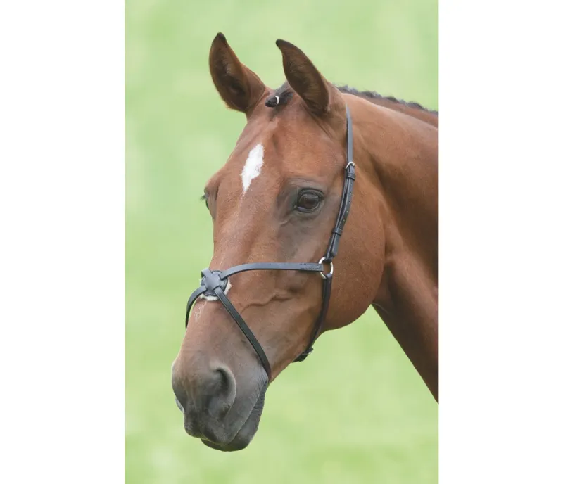 Velociti GARA Mexican Noseband in BLACK