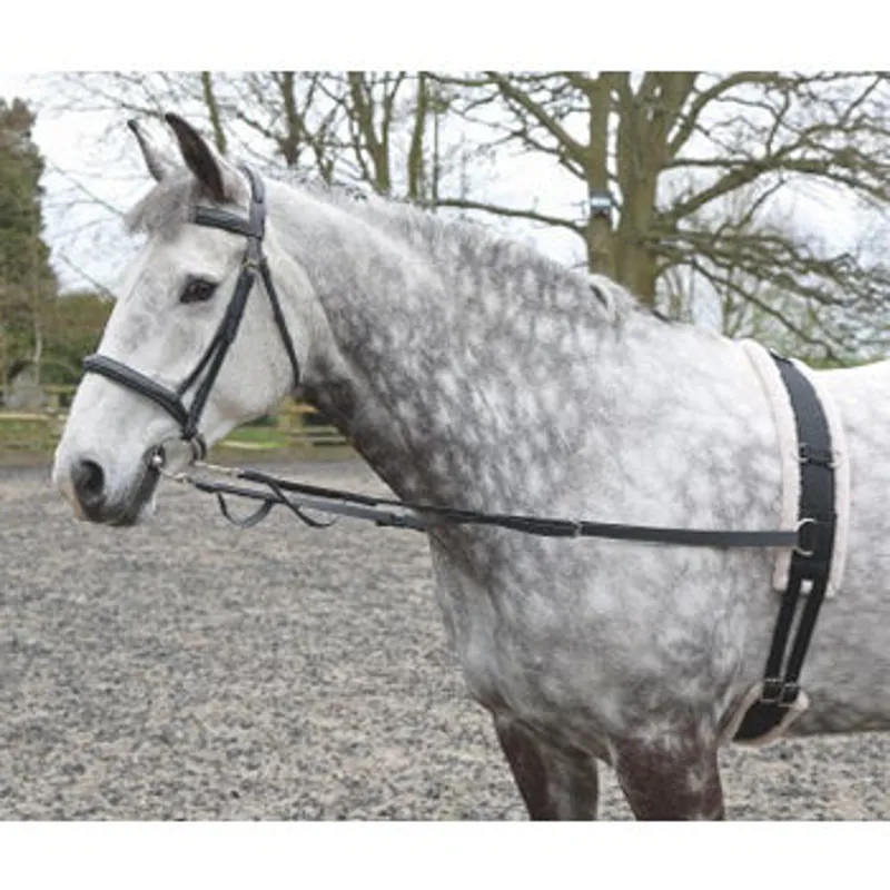 Shires Nylon Web Side Reins in BLACK