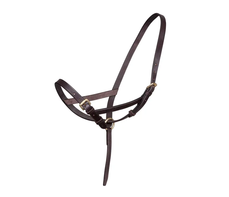 Velociti GARA Leather Foal Slip in HAVANA