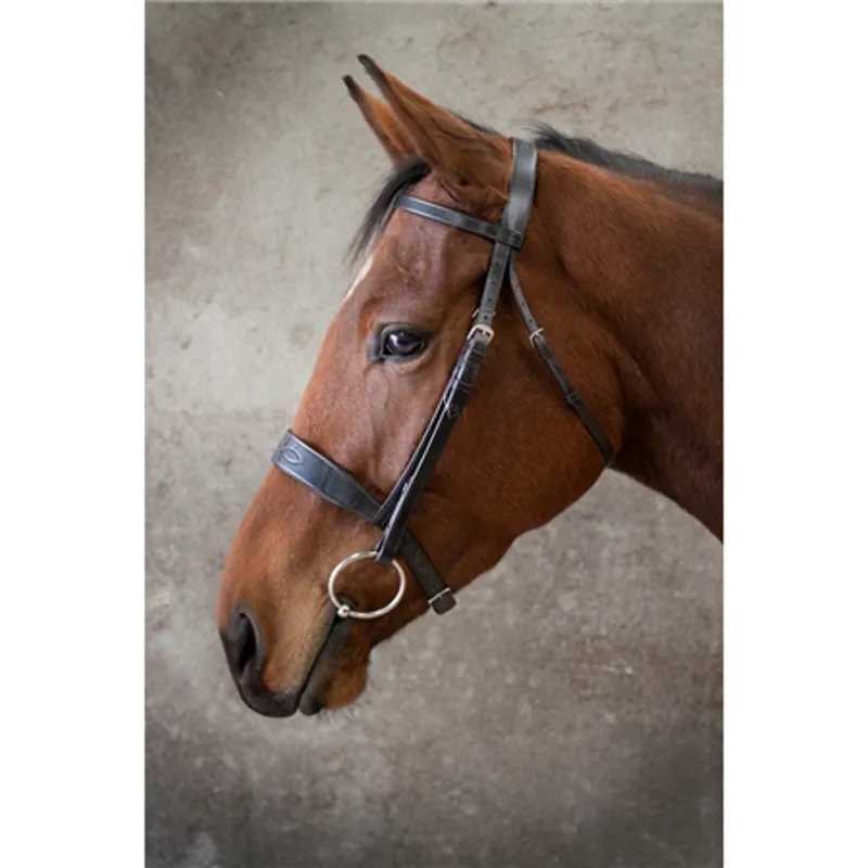 Ecorider Classic Show Bridle Brown-1