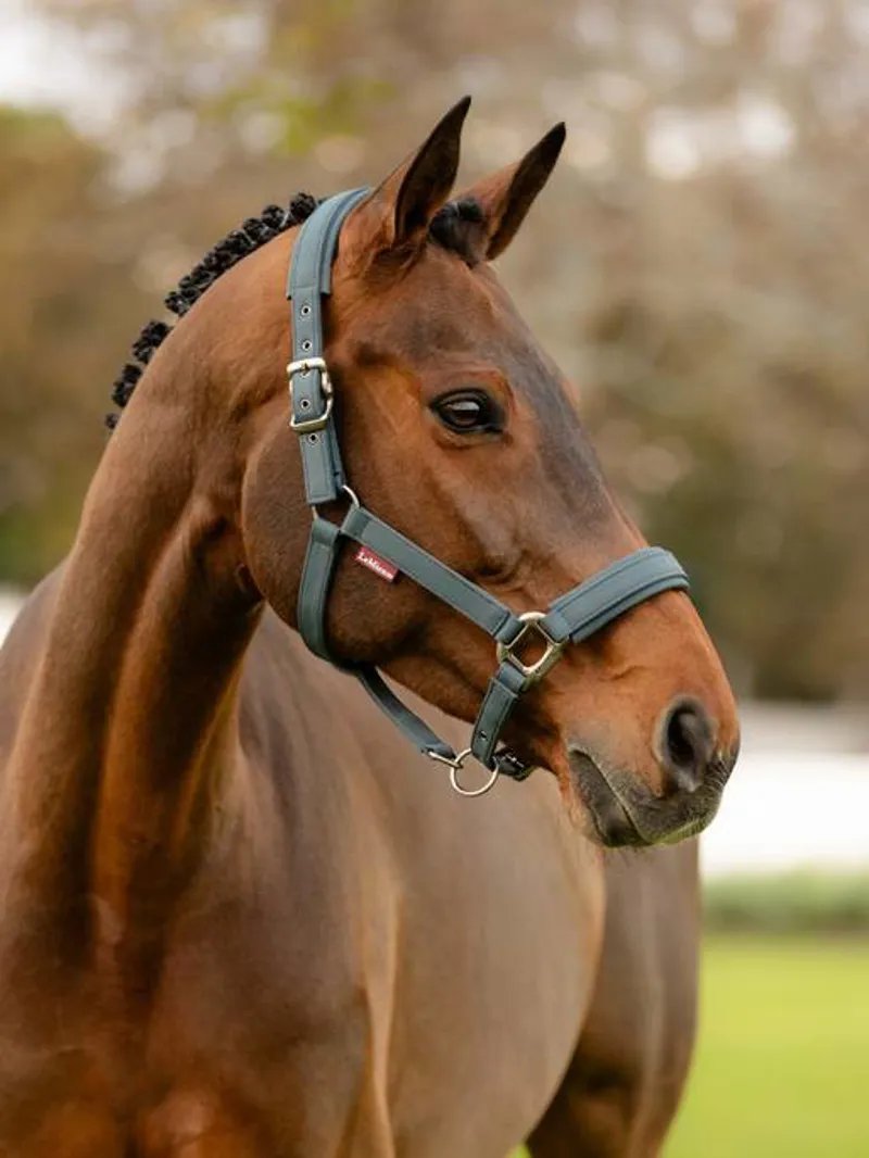Le Mieux Soft Shell Headcollar Cinder