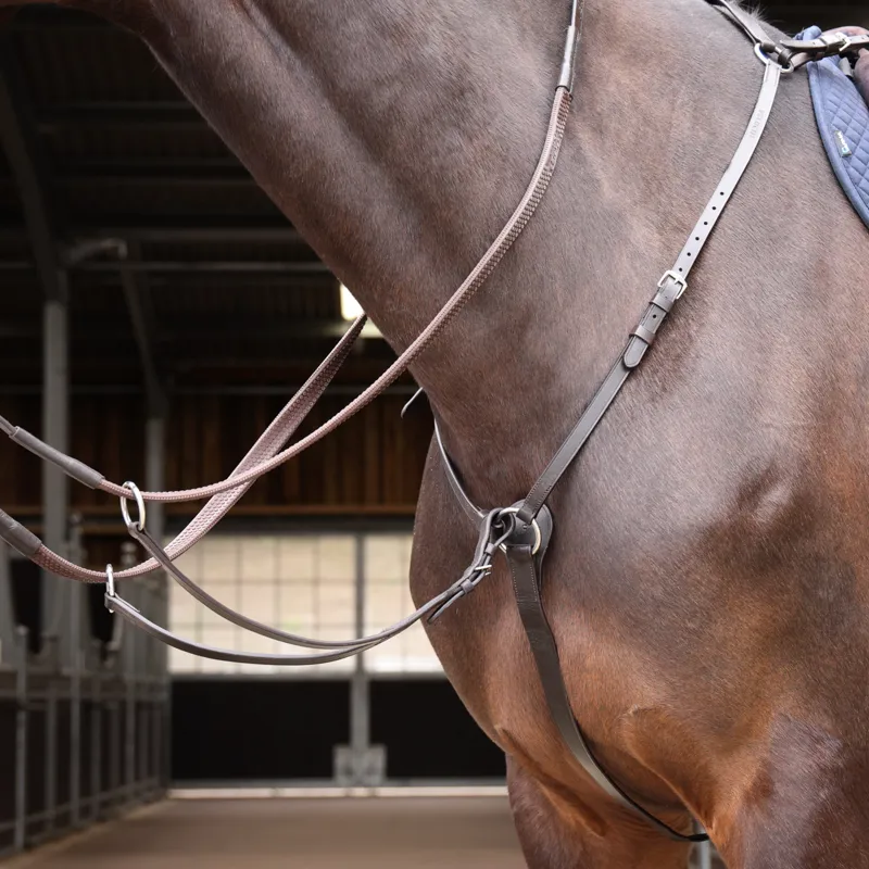 Shires Velociti GARA Hunt Weight Breastplate in HAVANA