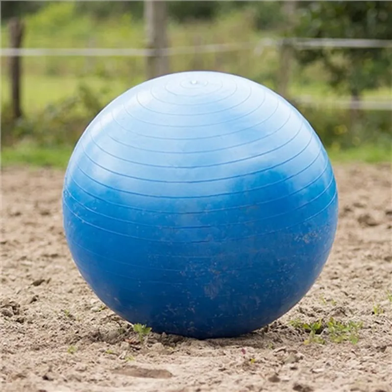 QHP Horse Football Blue 80-100cm