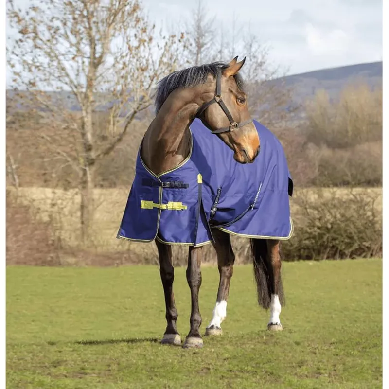 Asker Turnout Rug 200g Navy