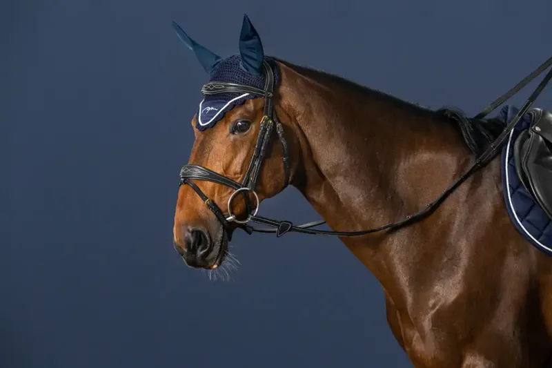 Dy'On Anatomic Flash Noseband Bridle Black