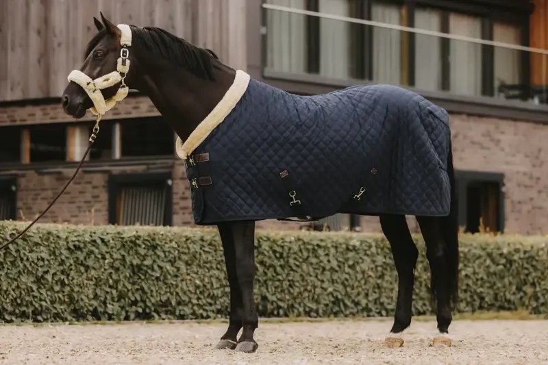 Kentucky Show Rug 160g Navy
