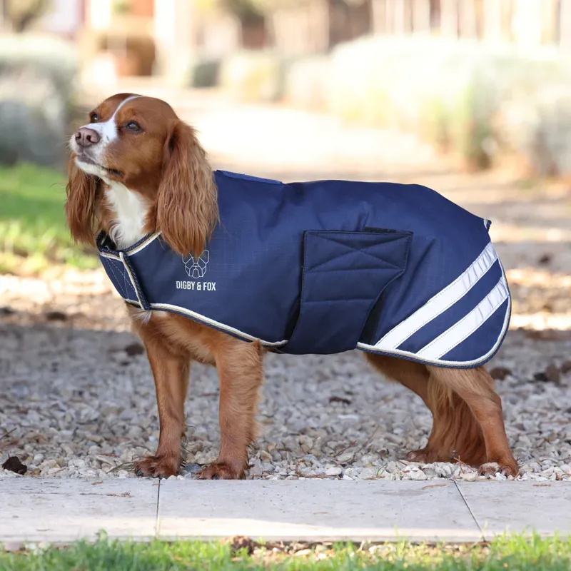 Digby and Fox Waterproof Dog Coat NAVY