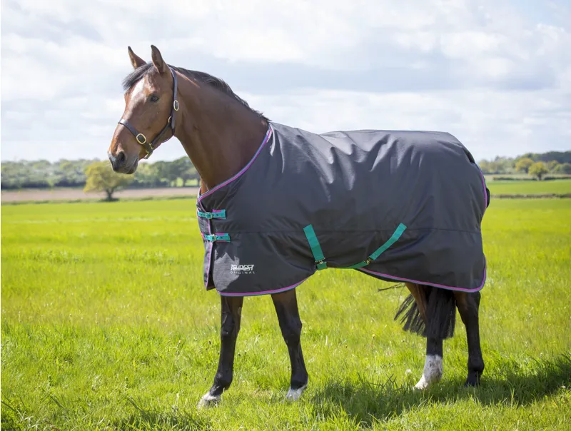 Tempest Original 300 Turnout Rug in BLACK
