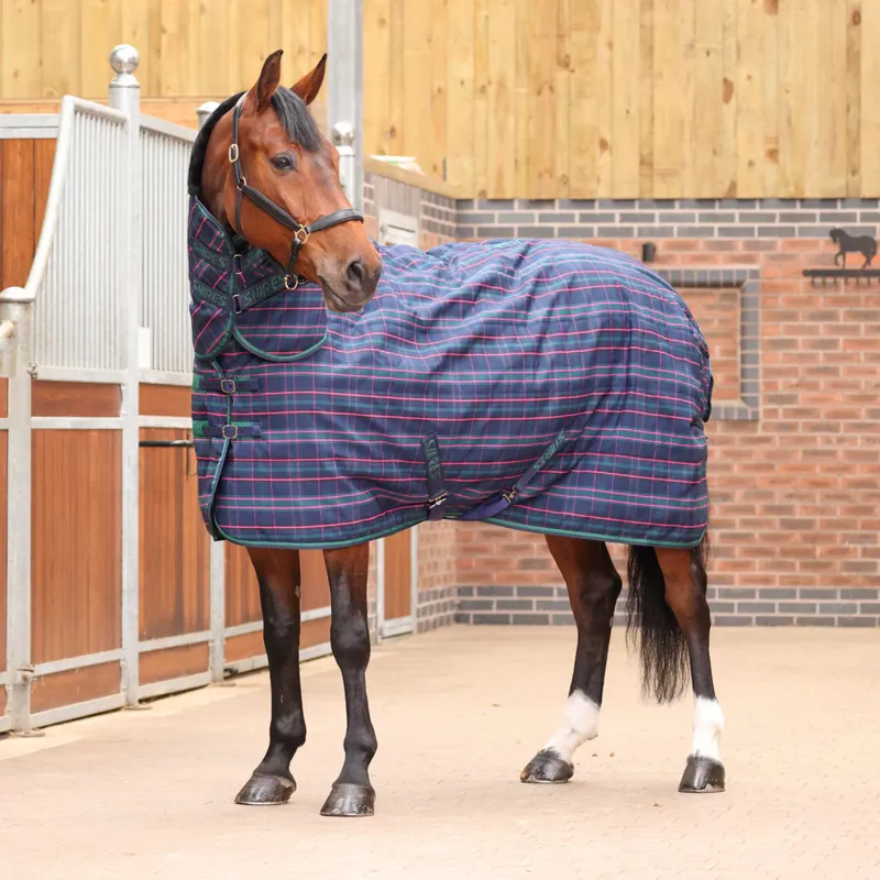 Tempest Plus 100 Stable Combo Rug in GRNCHK