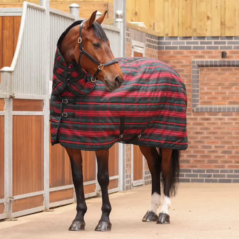 Tempest Plus 200 Stable Combo Rug Red TARTan-1