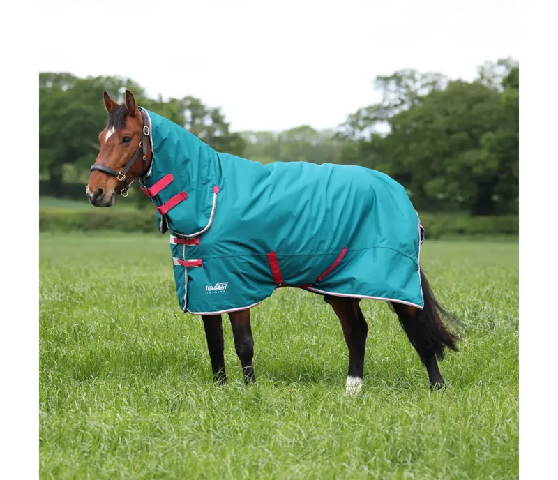 Tempest Original Air Motion Combo Rug in GREEN