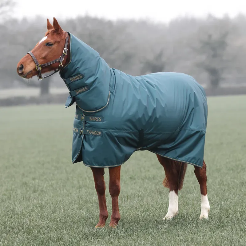 Typhoon 200 Combo Turnout Rug GREEN