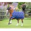 Tikaboo Lite Turnout Rug in Prince Charming