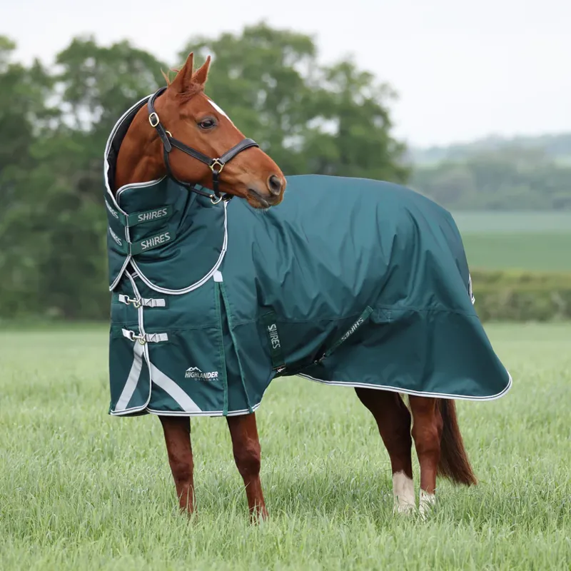 Highlander Original 300 Turnout Rug and Neck Set GREEN