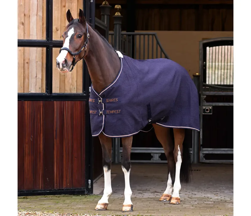 Tempest Original Waffle Rug in NAVY