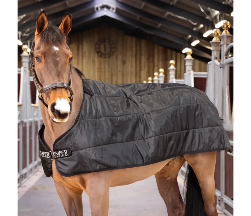 Tempest WarmaRug 200 Turnout Rug Liner in BLACK
